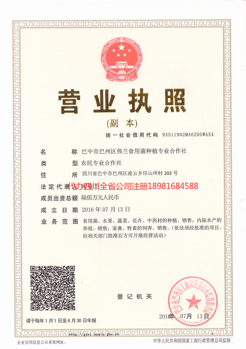 南宫南宫伟兰食用菌种植专业合作社