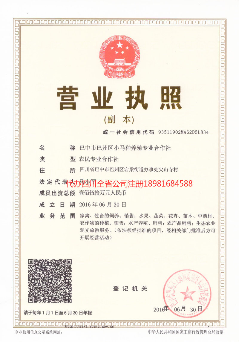 南宫南宫小马种养殖专业合作社